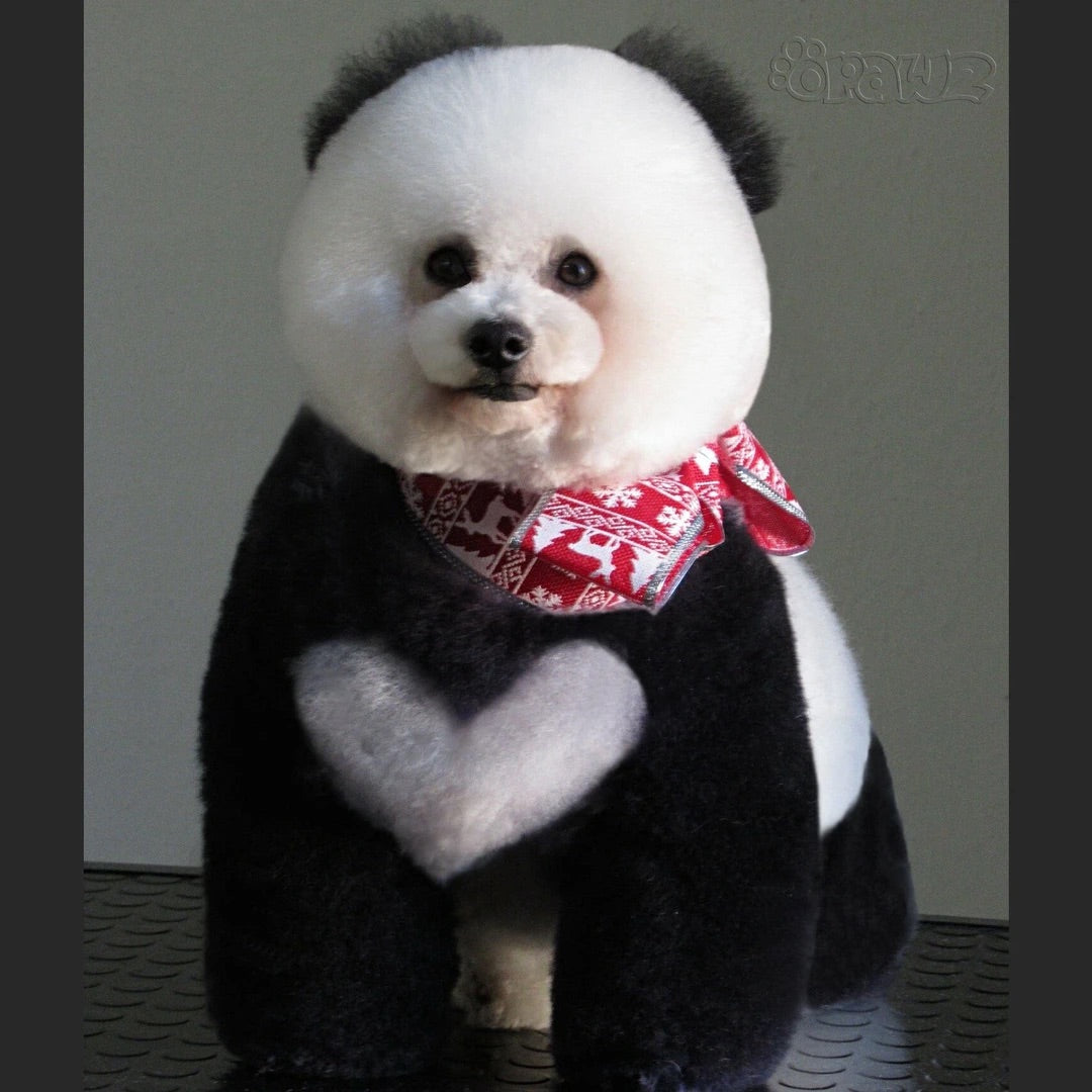 Opawz Super Black, the truest black designed for pets! – Riddles