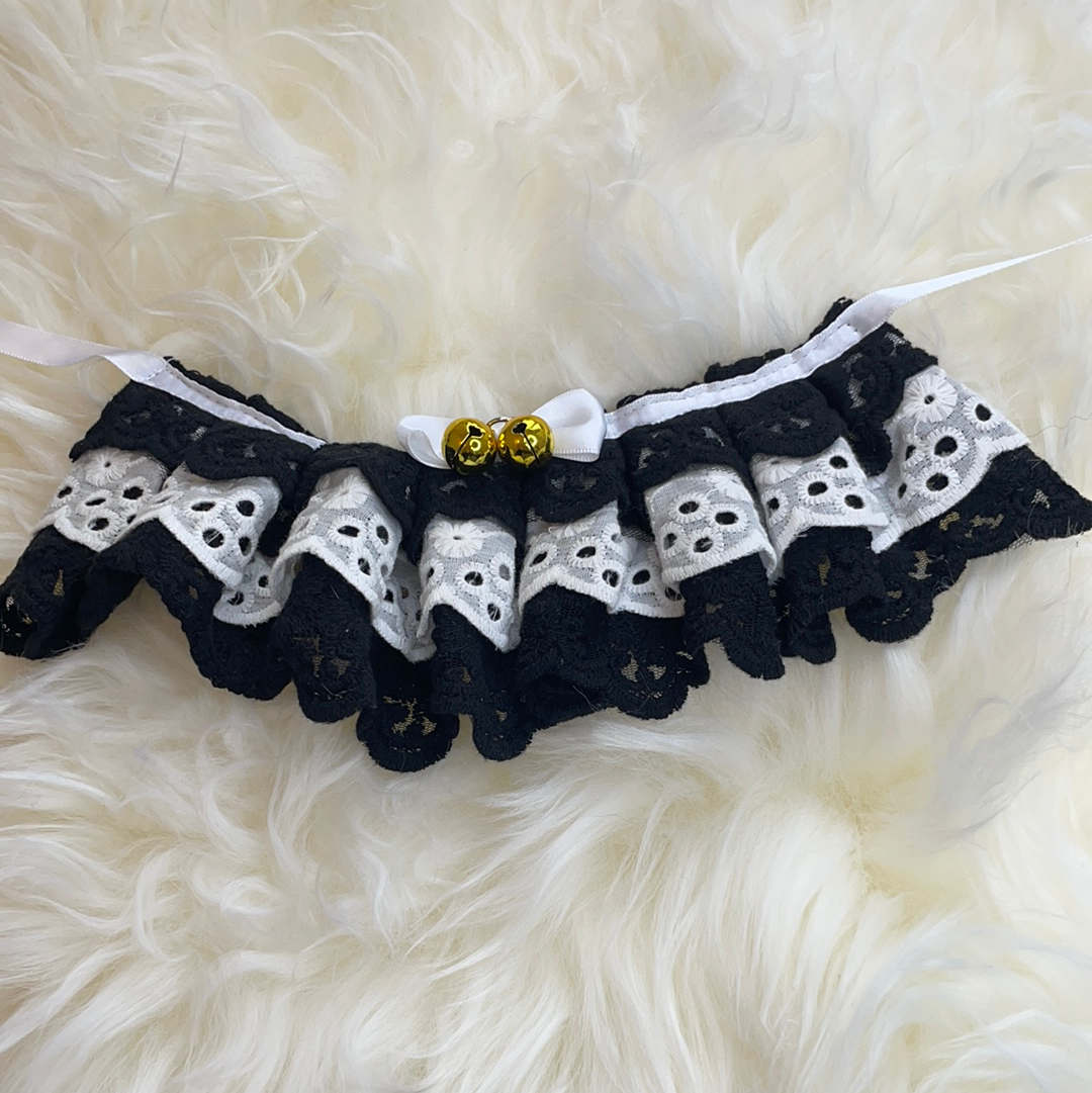 Photogenic Collars