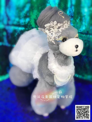 Mr Jiang Model Dog (Wigs and Stand Separate)