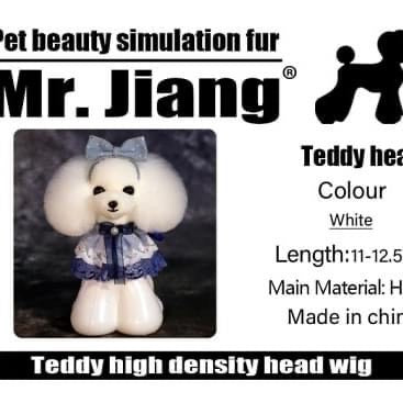 Mr Jiang Model Dog Head Set – Riddles Creative Box