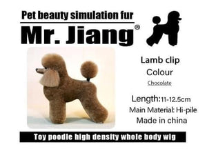 Mr Jiang Model Dog (Wigs and Stand Separate)