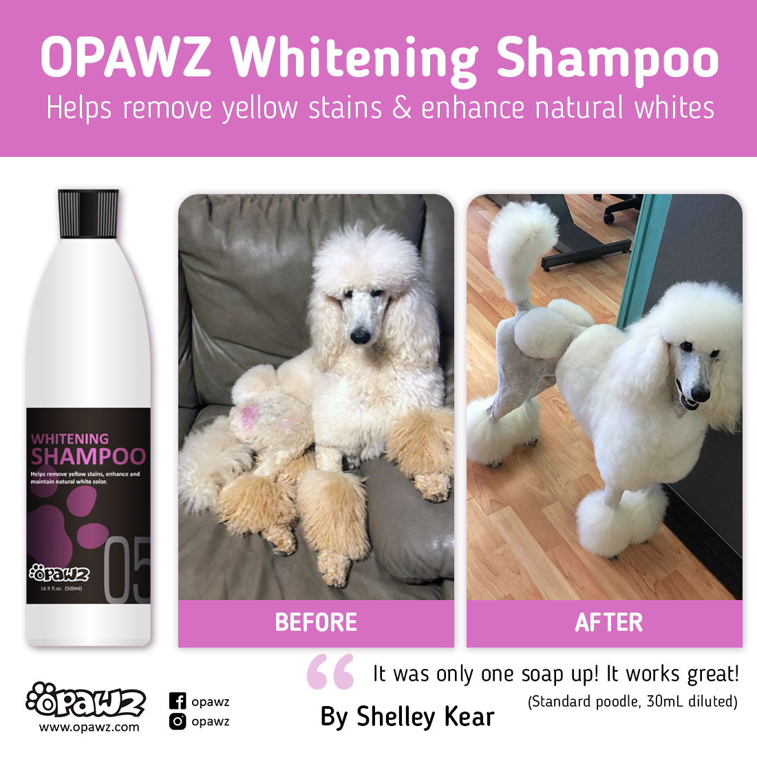 Dog whitening shampoo hotsell