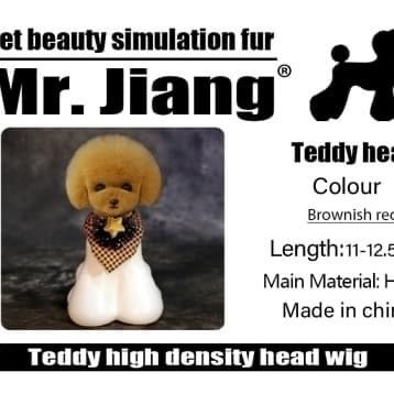Mr Jiang Model Dog Head Set