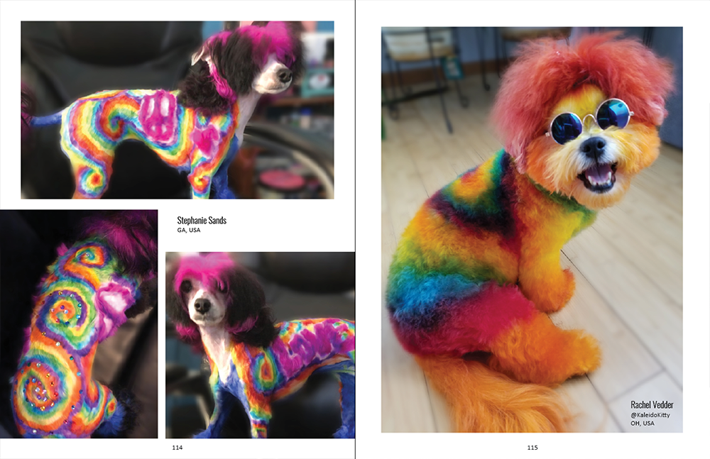 iFashion.pet Creative Grooming Collection is the ultimate creative gro ...